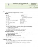 Laboratorio “ Mezclas y métodos de separación”
