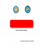 Guía AutoFormativa IDENTIDAD NACIONAL Un acercamiento conceptual, actitudinal y procedimental a nuestra Nación