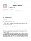 Informe psicopedagogico