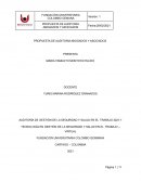 PROPUESTA DE AUDITORIA ABOGADOS Y ASOCIADOS