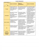 Mapa comparativo de manual de procesos de procedimientos y de funciones