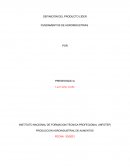 Productor lider aguacate