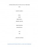 ESTRATEGIA DE INTEGRACIÓN DE LA CADENA DE SUMINISTRO