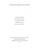 CONTAMINACIÓN ATMOSFERICA (FUENTES MOVILES)