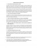 CONSULTA PREVIA DE PREPARACION ¿En que afecta el tamaño de partícula, el flujo?