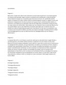 La relacion entre Administracion estrategica y diseño organizacional Blanca Flor