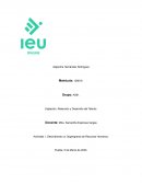 Describiendo un Organigrama de Recursos Humanos