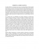Ensayo combatir el cambio climatico