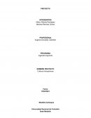 Cultivos Hidropónicos