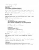 Patologias de la arteria cerebral anterior