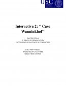 Análisis del Caso Wanninkhof