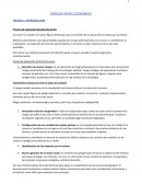 Derecho penal economico