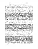 Microorganismos en composta de residuos solidos