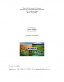 Los biomas de Venezuela