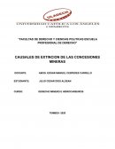 CAUSALES DE EXTINCION DE LAS CONCESIONES MINERAS