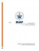 FACTORES CRIMINOGENOS QUE INFLUYEN EN ADULTOS PARA PERTENECER A GRUPOS DE DELINCUENCIA ORGANIZADA EN ACATZINGO, PUEBLA