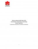 Informe conferencia AEPI, Moscú 2010