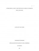 INFORME SOBRE EL CVUDES Y CARACTERÍSTICAS DE SU MODELO DE FORMACIÓN PARA LA VIRTUALIDAD