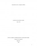 Sistematizacion ensdmm