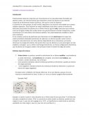 UNIONES O ENLACES QUÍMICOS