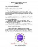 Diseño y formulación de la estrategia. Ventajas competitivas y comparativas