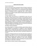 Análisis del libro Arde Josefina Vinculo en familia nuclear