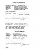 Calculo de Zapata Aislada Central