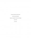 Definiendo conceptos claves