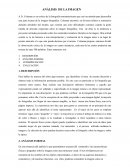 ANÁLISIS DE LA IMAGEN según Сoleman