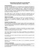 ESTRATEGIAS EN MERCADEO III DISTRIBUCIÓN