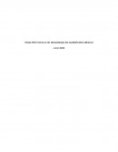 Protocolo de seguridad en Querétaro México