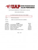 Psicología Social en el Perú