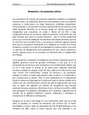 Reingenieria– No automatice, elimine