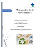 Medio ambiente de la mercadotecnia