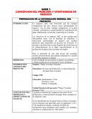 CONCEPCION DEL PROBLEMA Y OPORTUNIDAD DE NEGOCIO