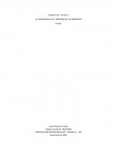 ¿La democracia es el gobierno de las mayorias?
