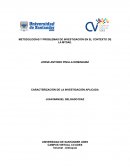 METODOLOGÍAS Y PROBLEMAS DE INVESTIGACIÓN EN EL CONTEXTO DE LA MTDAE