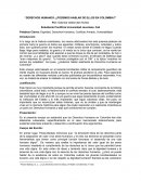 La vulneración de los derechos humanos en el conflicto armado colombiano
