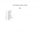 Plan de Salud Territorial 2020