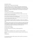 NO NACIMOS PA SEMILLA RESUMEN 1