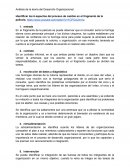 Análisis de las fases del DO en la película Bichos