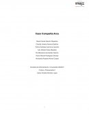 Trabajo practico Costos Estandar - Caso Arca