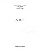 Biología. Biomas de Venezuela