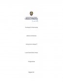 IMPLEMENTACIÓN DEL METODO DE SOUS VIDE PARA LA CREACIÓN DE UN PLATO