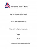 Culturas de alto y bajo contexto