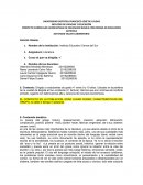 PROYECTO CURRICULAR LICENCIATURA EN EDUCACION BASICA CON ENFASIS EN EDUCACION ARTISTICA