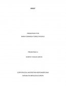 ENFASIS EN MERCADOS EUROPA. BREXIT