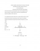 Examen del 2do Corte Sobre Leyes de Newton