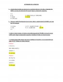 Informe practica 1 ingenieria economica