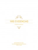 Proyecto: MIS EVIDENCIAS